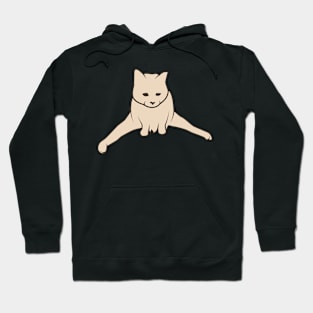 Funny Cat Meme Hoodie